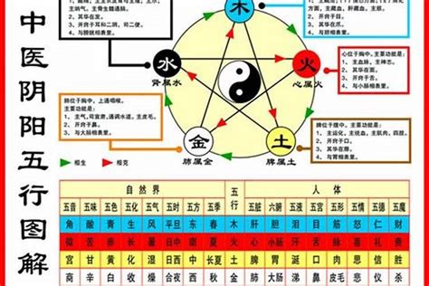 如何看自己的五行